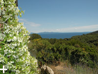 Ferienwohnungen Le Querce Insel Elba: grosser Garten, Meeresblick und mitten im Grünen