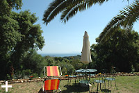 Dog friendly apartments on the island of Elba ? Apartments Le Querce in Capoliveri
