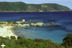Elba Island - Apartments Le Querce - Capoliveri - Laconella beach